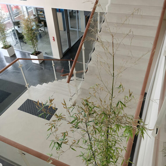 Terre de Caprices | Béton ciré sur marches d'escalier mis en valeur par un sol noir situé dans un hall d'entreprise